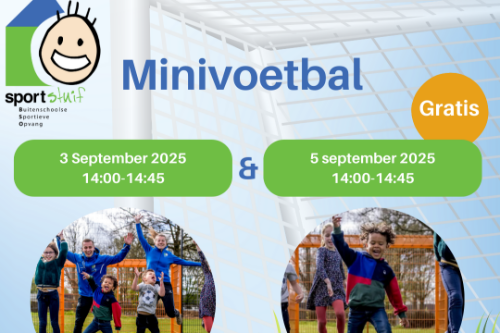 Minivoetbal
