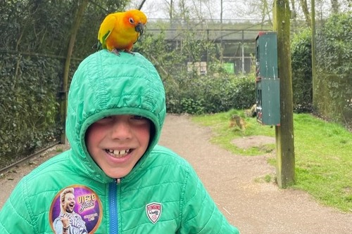 Veldhoven ZOO - Uitje - BSO