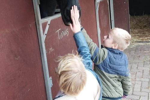 Foto bij Fotoboek Weert