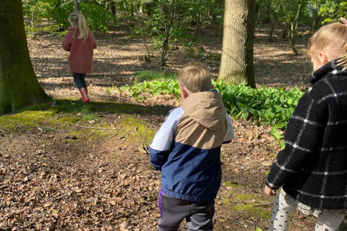 Uitstapje naar het bos voor een lentespeurtocht