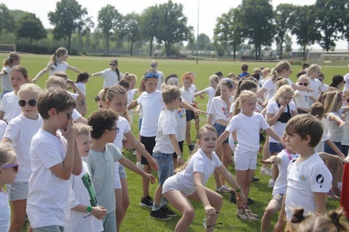 Verzamelen veld