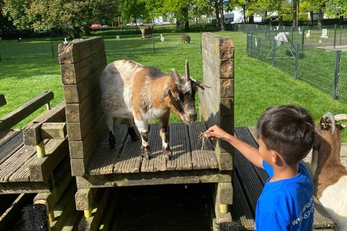 Foto bij Fotoboek 
