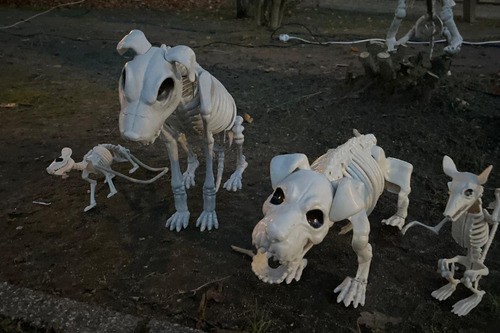 Halloween speurtocht 2025